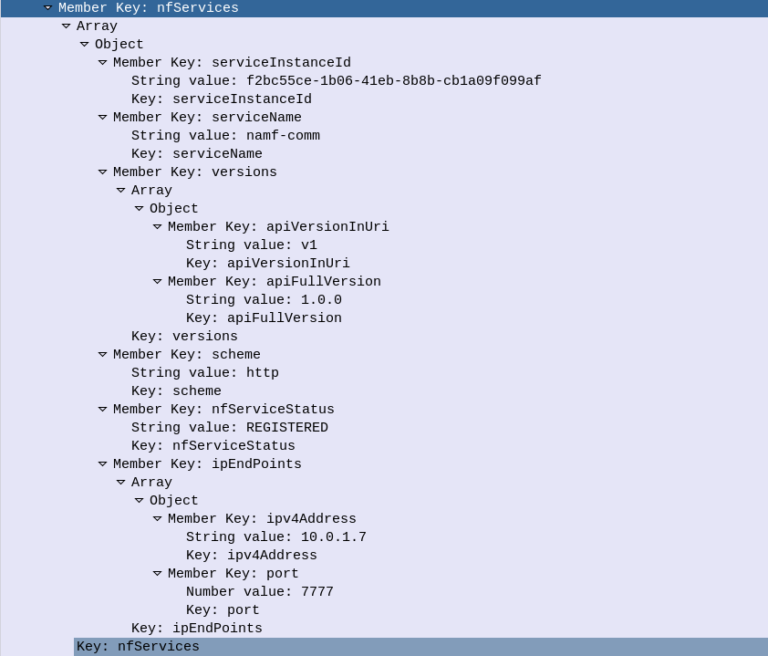 5GC The Network Function Repository Function Nick vs Networking