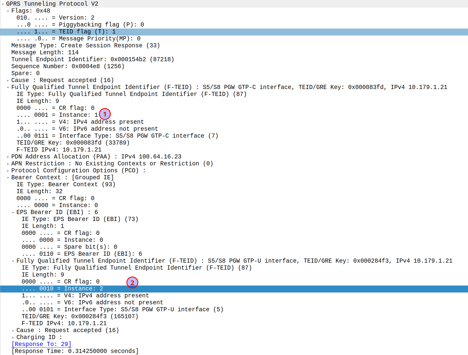 Gtpv2 instance ids nick vs networking